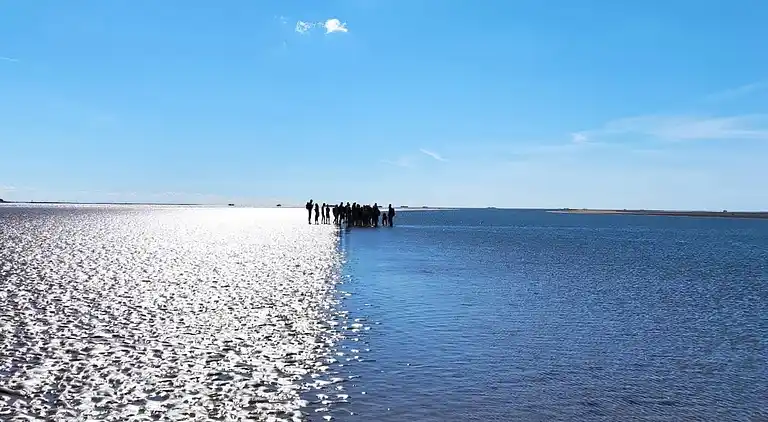 Ferienhaus in Bosbüll