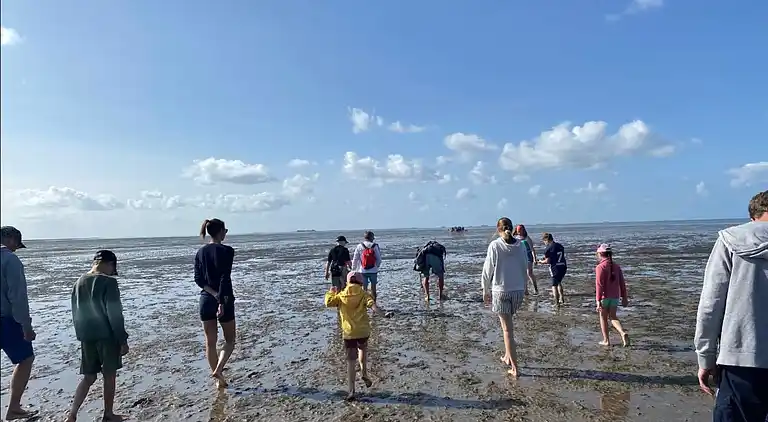 Ferienhaus in Bosbüll