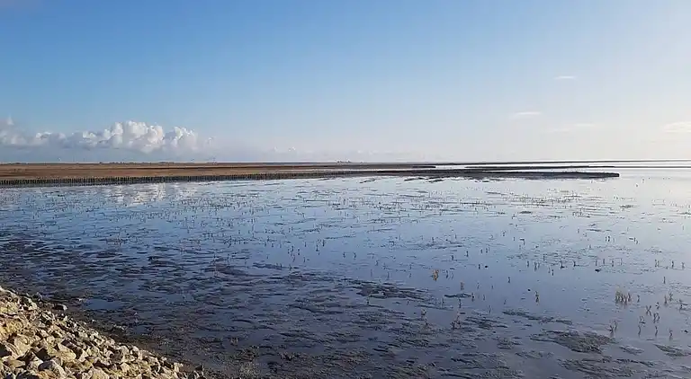 Ferienhaus in Bosbüll