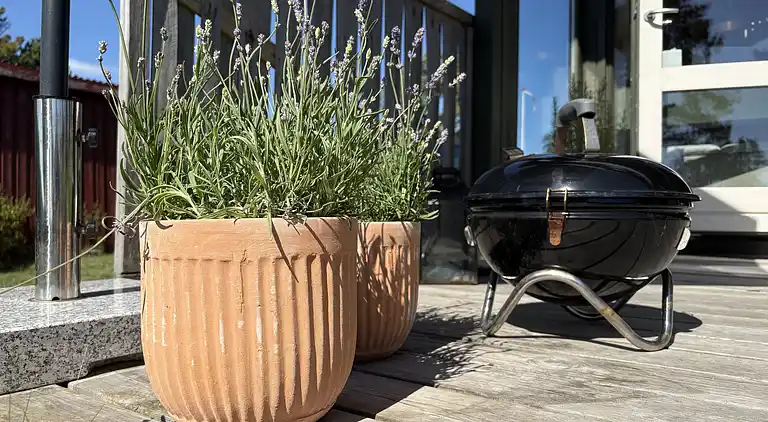 Gemütliches kleines Ferienhaus mit Meerblick