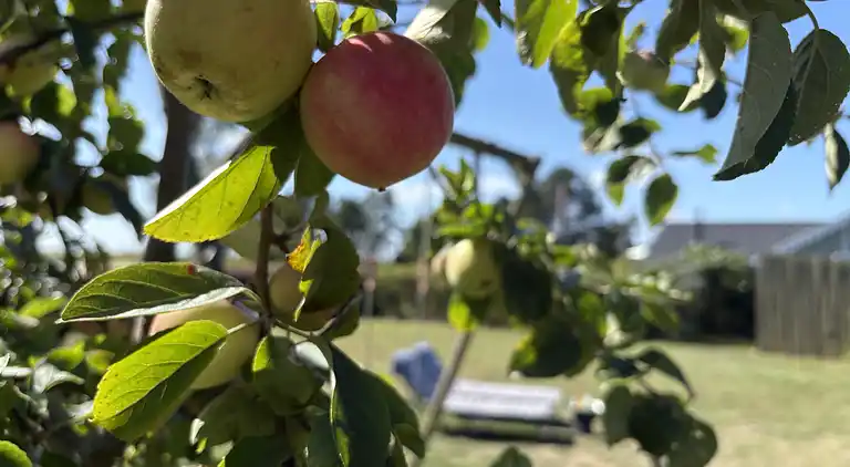 Gemütliches kleines Ferienhaus mit Meerblick