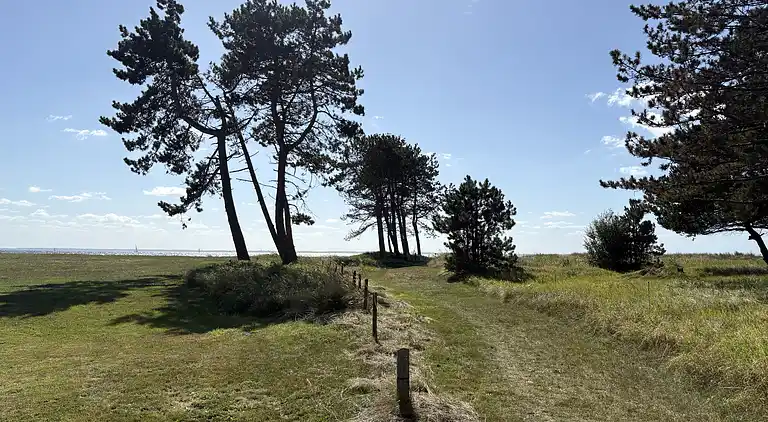 Gemütliches kleines Ferienhaus mit Meerblick