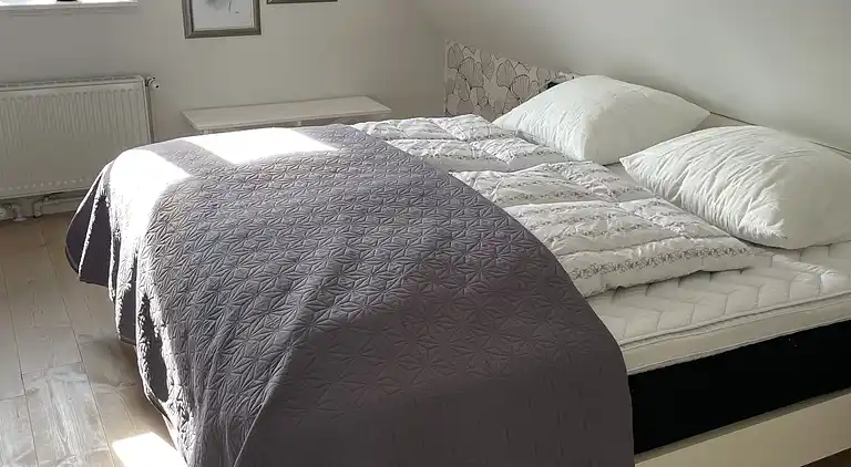 Luksuriøs landejendom midt i natur med welness