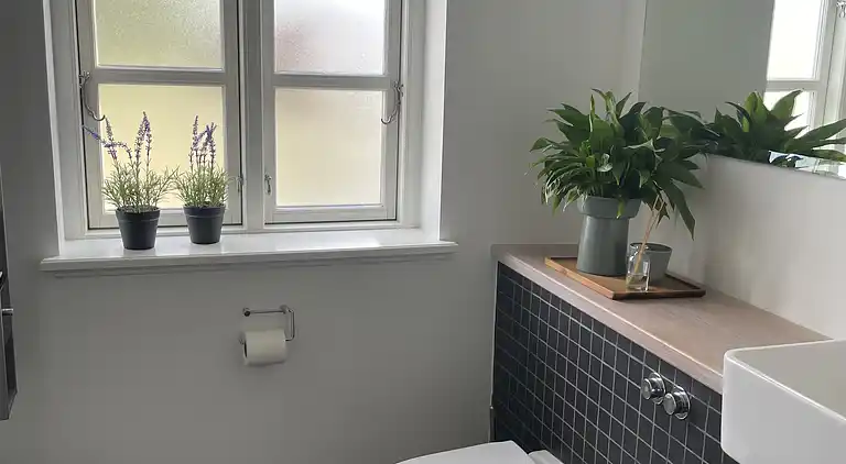 Luksuriøs landejendom midt i natur med welness