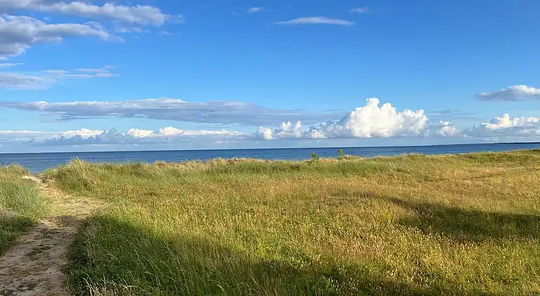 Neu renoviertes Ferienhaus mit Außenwhirlpool