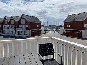 Sommerhus ved hav og børnevenlig strand