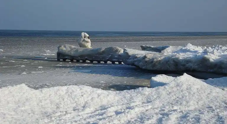 Holiday home in Balm