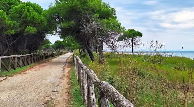 Peaceful flat in Bibione