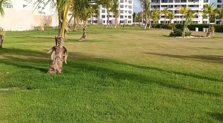 Luxus-Refugium mit privatem Whirlpool, Strand, Punta Cana, 5