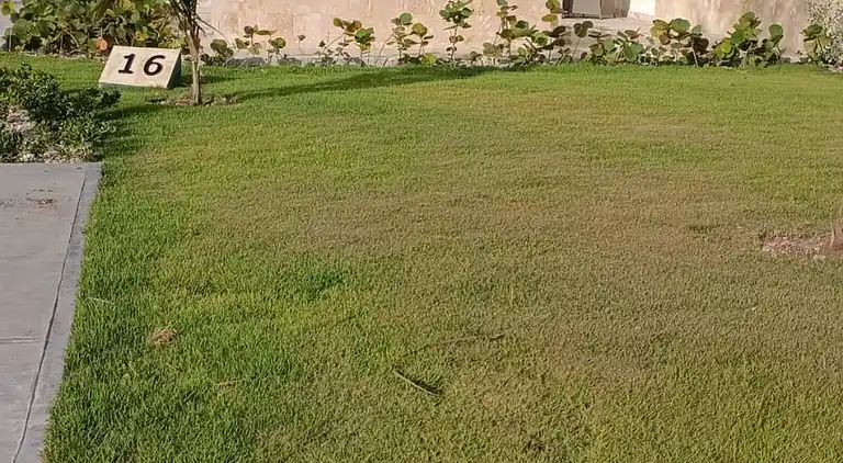 Luxus-Refugium mit privatem Whirlpool, Strand, Punta Cana, 5