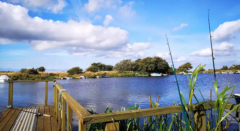 Holiday home in Bork Havn