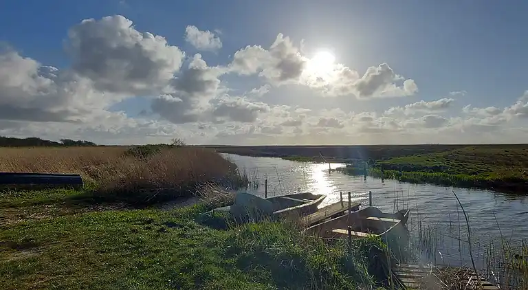 Holiday home in Bork Havn