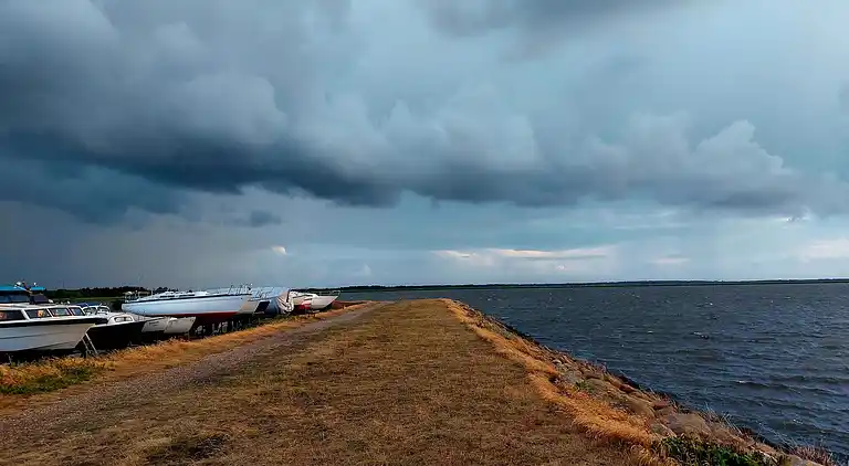 Sommerhus i Bork Havn