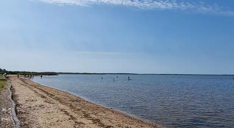 Sommerhus i Bork Havn