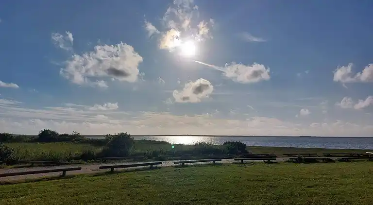 Sommerhus i Bork Havn