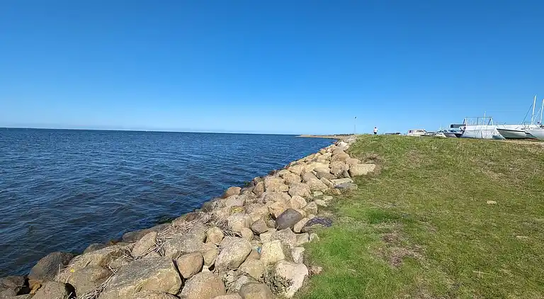 Sommerhus i Bork Havn