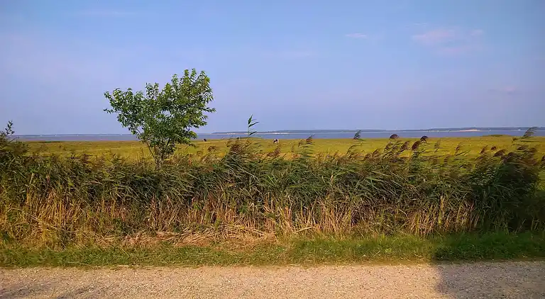 Semesterbostad i Blåvand