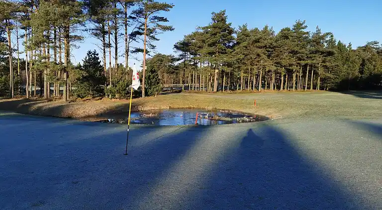 Semesterbostad i Blåvand