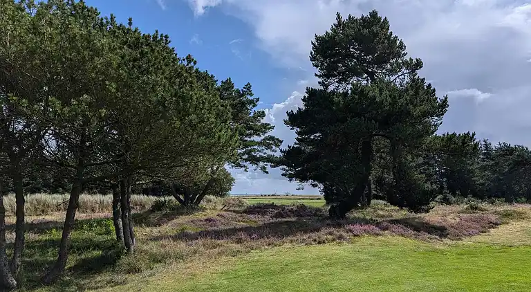 Semesterbostad i Blåvand