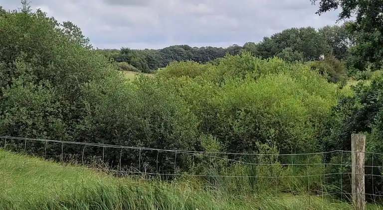 Vakantiehuis in Hovborg