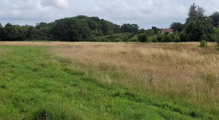 Vakantiehuis in Hovborg