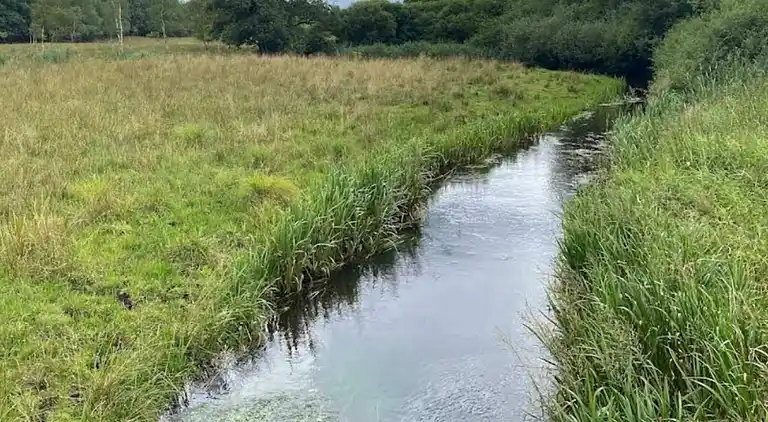 Vakantiehuis in Hovborg