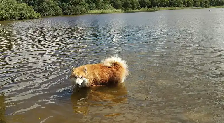 Ferienhaus am Kvie Sø