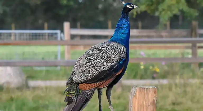 Holiday home in Kvie Sø