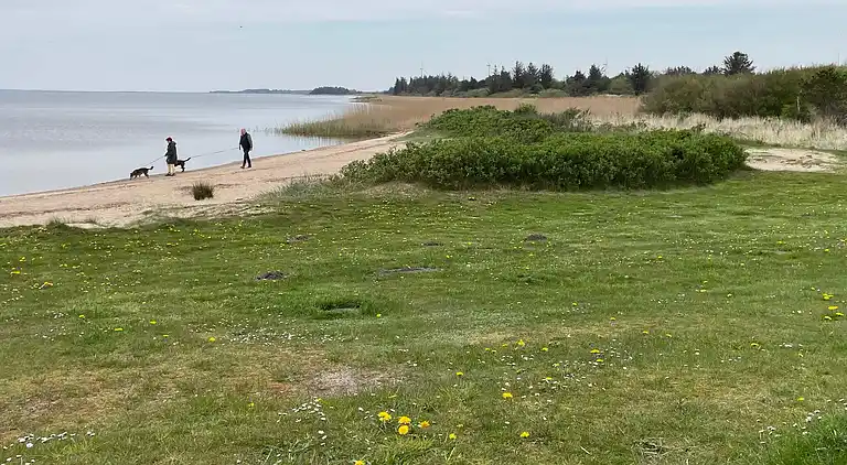 Holiday home in Bork Havn