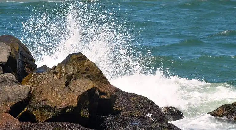 Holiday home in Bork Havn