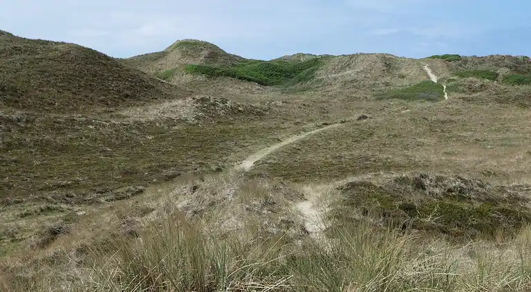 Holiday home in Ringkobing