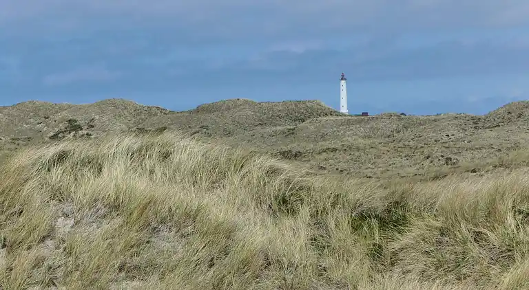 Holiday home in Ringkobing