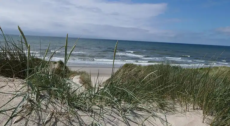 Holiday home in Ringkobing