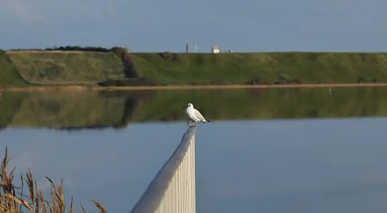 Holiday home in Vrist Strand