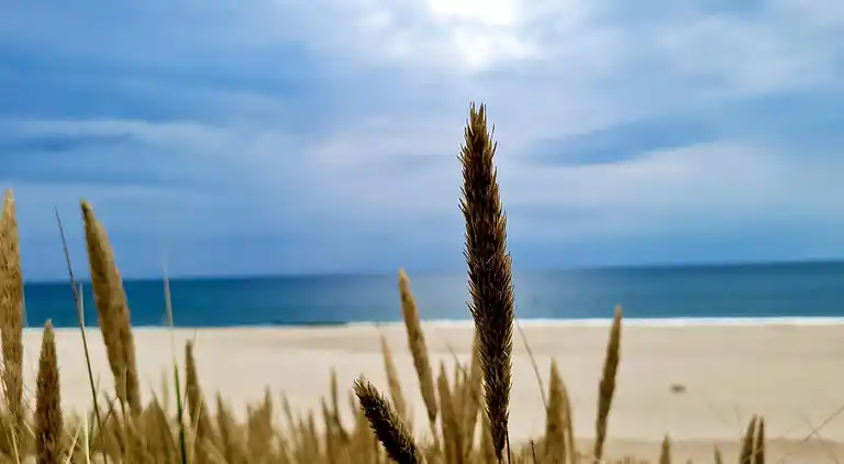 Holiday home in Vrist Strand