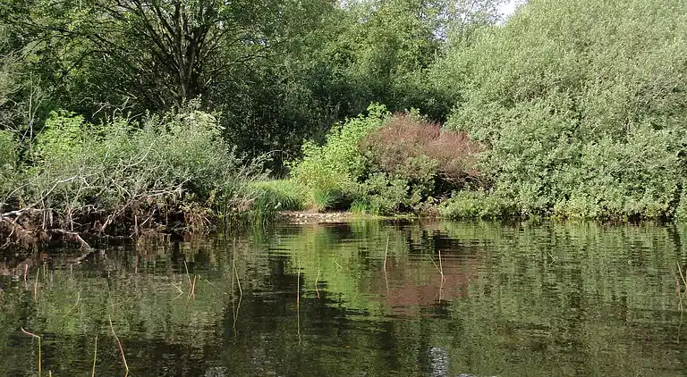 Sommerhus ved Kvie Sø