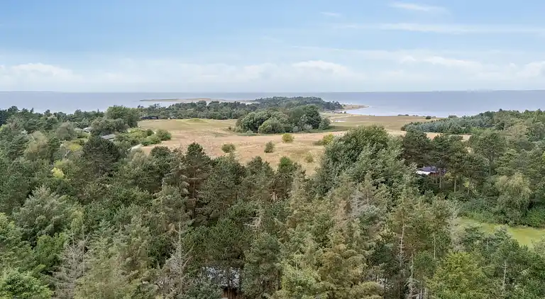 Dejligt lyst sommerhus ved Ordrup