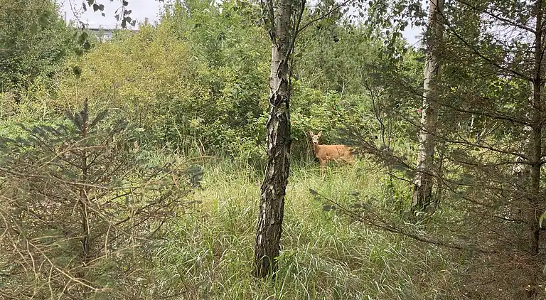 Holiday home in Sæby