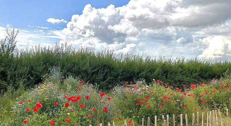 Feriebolig i Nykøbing Mors