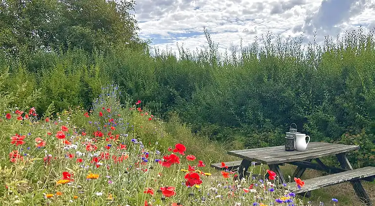Feriebolig i Nykøbing Mors