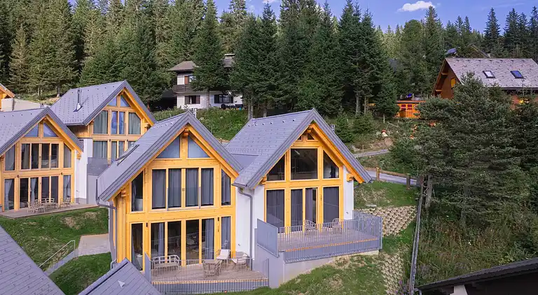 Ferienhaus in Lachtal