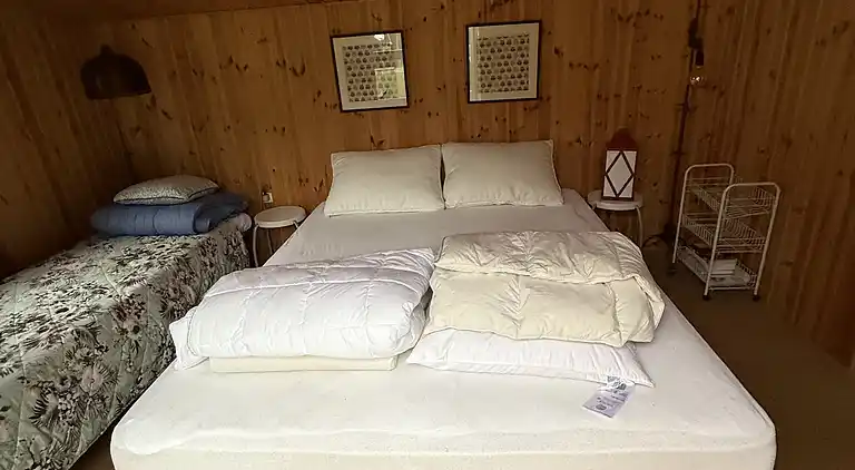 Lyst sommerhus tæt på havet i grønne omgivelser