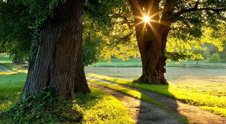 Holiday home in Lansen-Schönau