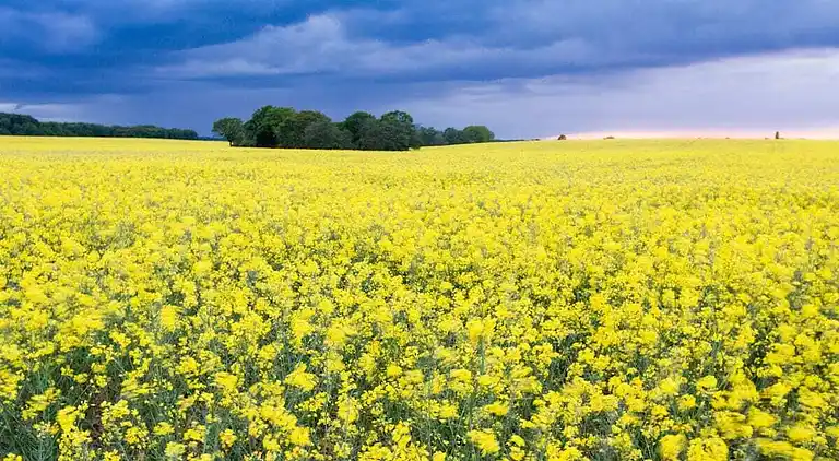 Holiday home in Lansen-Schönau