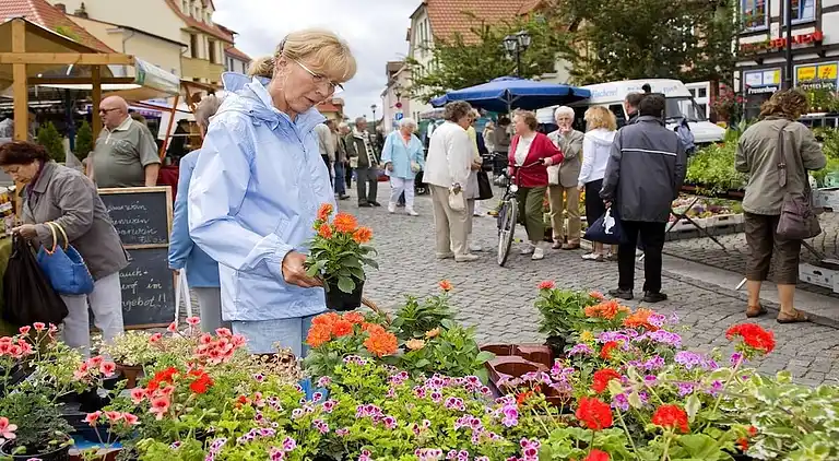Holiday home in Lansen-Schönau