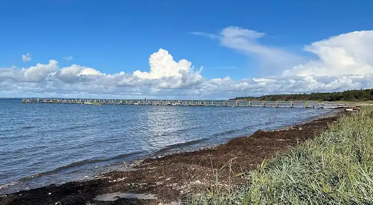 Sommerhus i Fårevejle