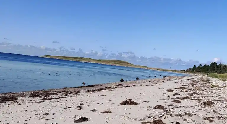 Sommerhus i Fårevejle