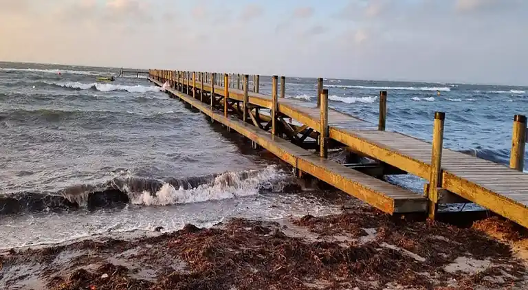 Sommerhus i Fårevejle