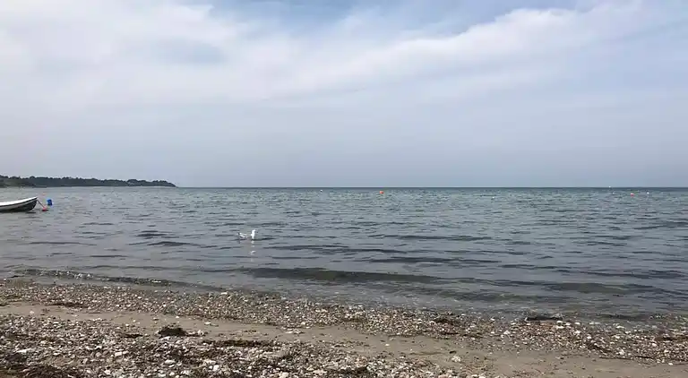 Sommerhus i Fårevejle