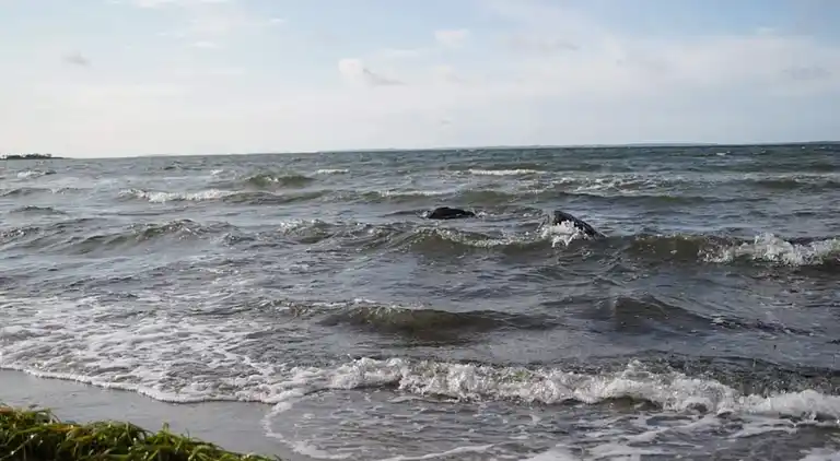 Holiday home in Kulhuse